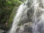 1126_2.JPG