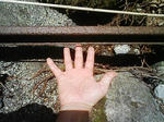 1131_2.JPG