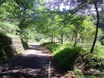 DVC00040.JPG