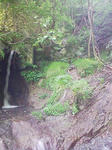 DVC00177.JPG