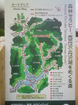 1207070808.JPG