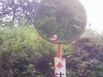 1207070937.JPG