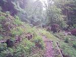 1207071012.JPG