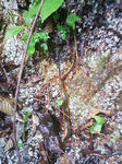 1207071015.JPG