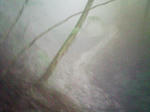 1207071048.JPG