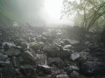1207071153.JPG