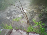 1207071157_1.JPG