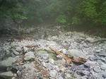 1207071619.JPG