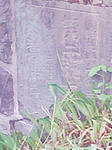 1207071811.JPG