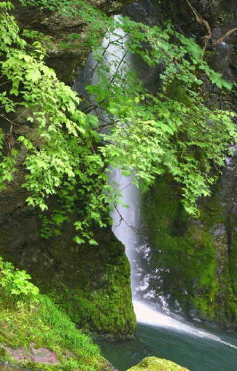 i-4f-komyo.jpg