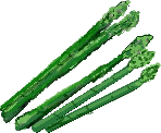 asupara.gif