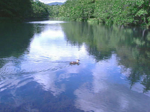 ira-2f-karuizawa.jpg