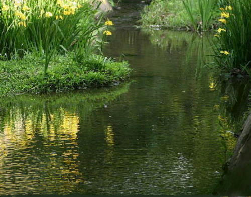 6578c32f.jpg
