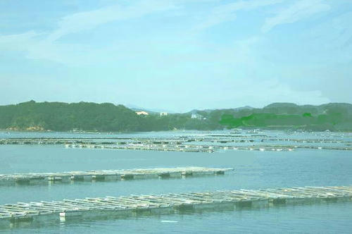 1-f11-agowan.jpg