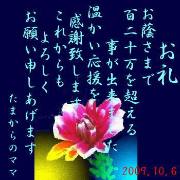 b986a5b9.jpg