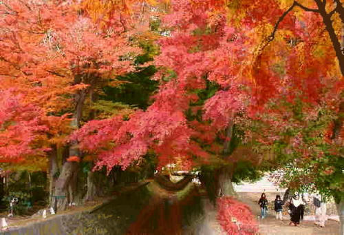 i-6f-kawagutiko.jpg