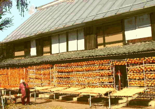 i-6f-konro.jpg