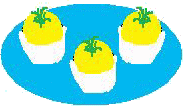 kazaritamago.gif