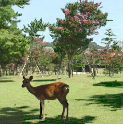 ira-d-sika2.jpg