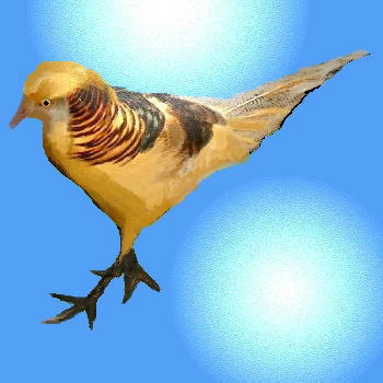 i-d5-kinkei.jpg