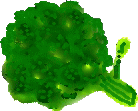 a-y-12.gif