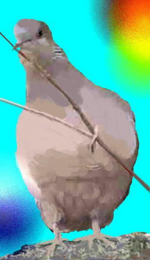 i-2d-hato3.jpg