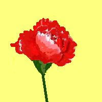 33b304e4.jpg