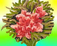 c736d87e.jpg
