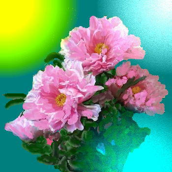 i-ha4-botan5.jpg