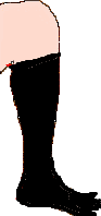 5hon.gif