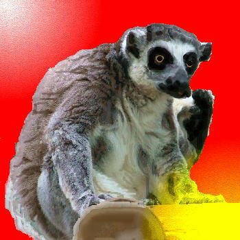 f9c76ea9.jpg