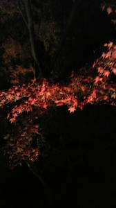 334b662e.jpg