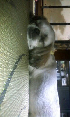 080727_1508~0001.jpg