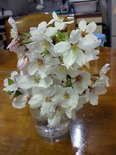 200904071729000.jpg