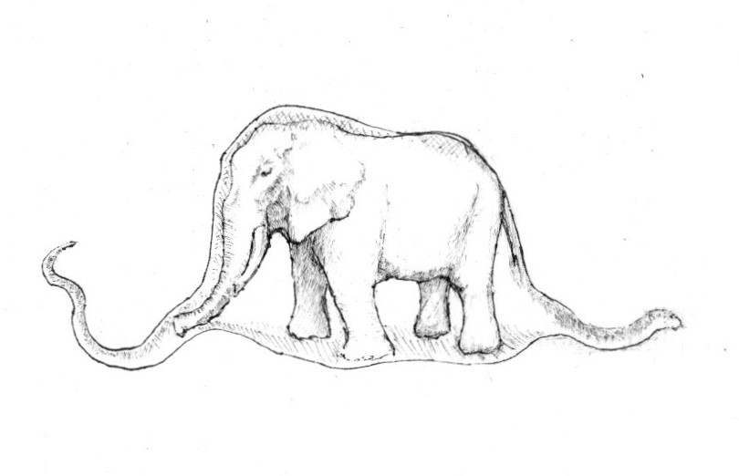 丸呑みされた象