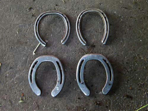 091001_01.jpg