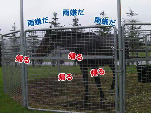 091002_01.jpg