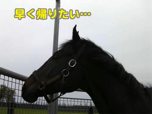 091009.jpg