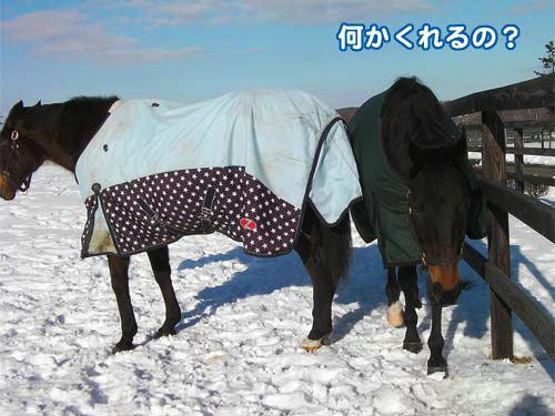 100111_03.jpg