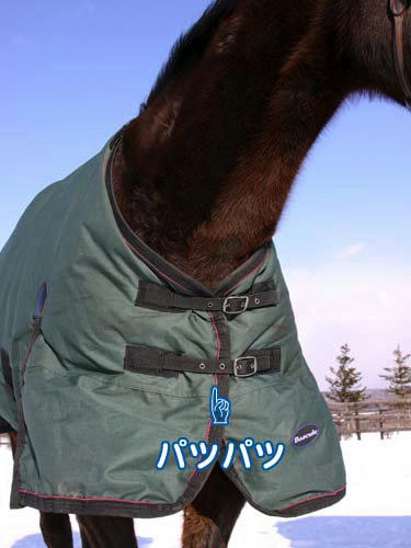 100118_04.jpg
