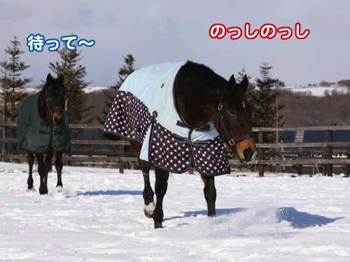 100118_01.jpg