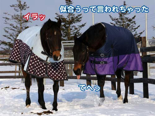 100205_03.jpg