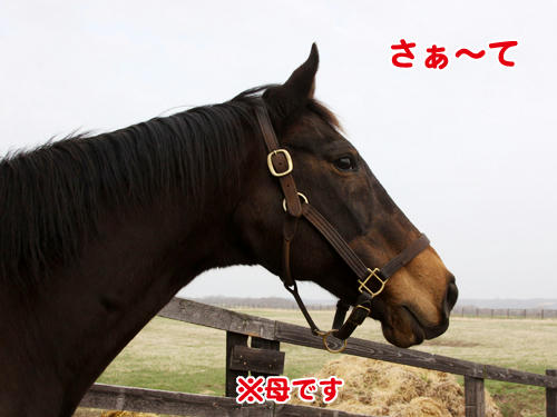 100505_01.jpg