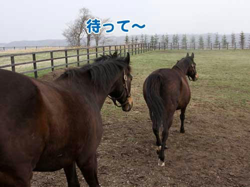 100505_03.jpg
