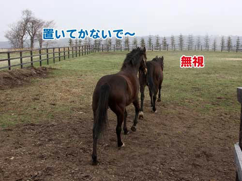 100505_04.jpg