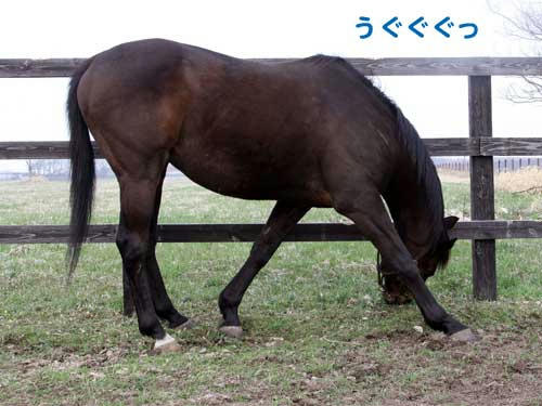 100505_08.jpg
