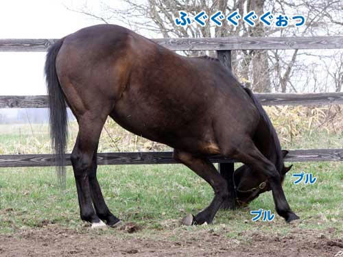 100505_10.jpg