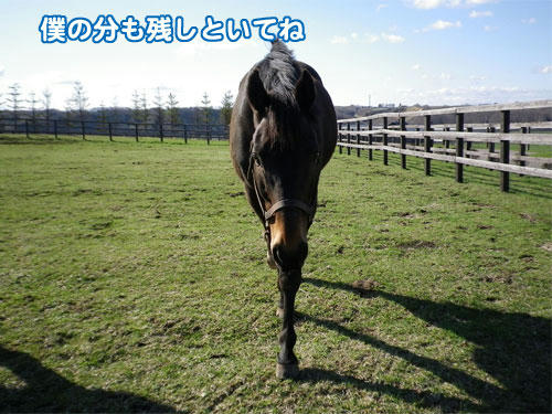 100509_08.jpg