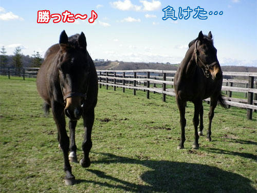100509_07.jpg