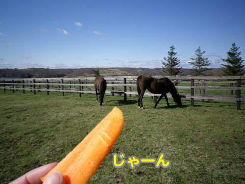 100509_04.jpg